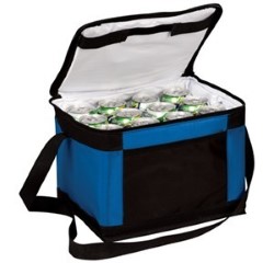 Port Authority 12-Pack Coolers BG89. Embroidery available. Same Day Shipping available on blanks. Quantity Discounts. No Minimum Purchase Required.